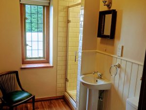 bathroom with shower and basin