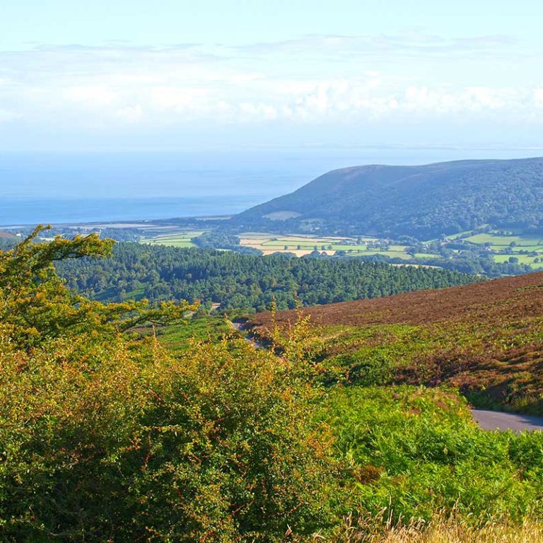 bossington-hall-outside-015