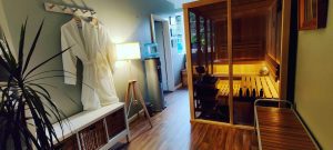 wood and glass sauna