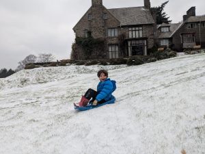 boy on sledge in snow