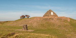 Dunkery Beacon, visible from the house, being visited by Exmoor Ponies. Note the Trig Point in the foreground.