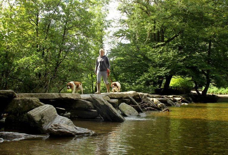 tarr steps