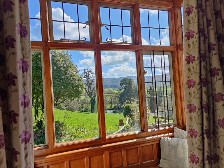 martinhoe bedroom window view dog friendly B&B