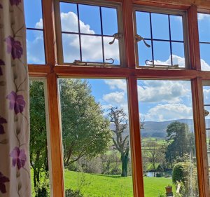 martinhoe bedroom window view dog friendly B&B