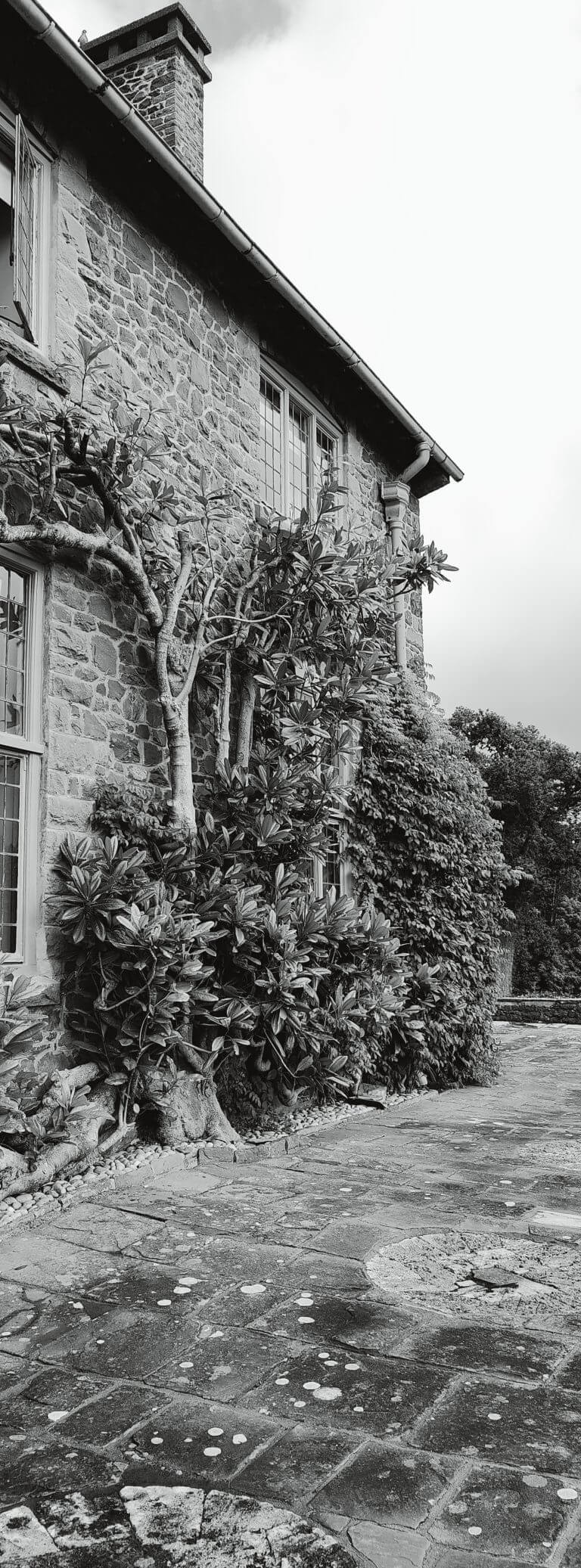 B&B Xpan of the east wing