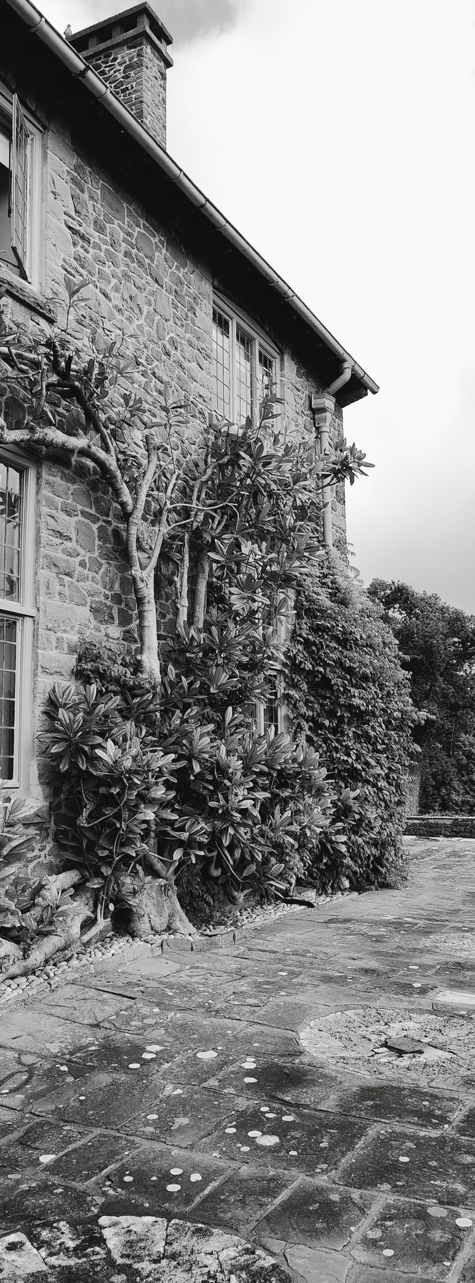 B&B Xpan of the east wing